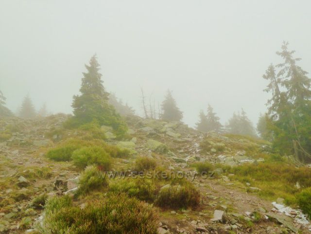 Cesta po červené TZ na vrchol Králického Sněžníku z polské strany