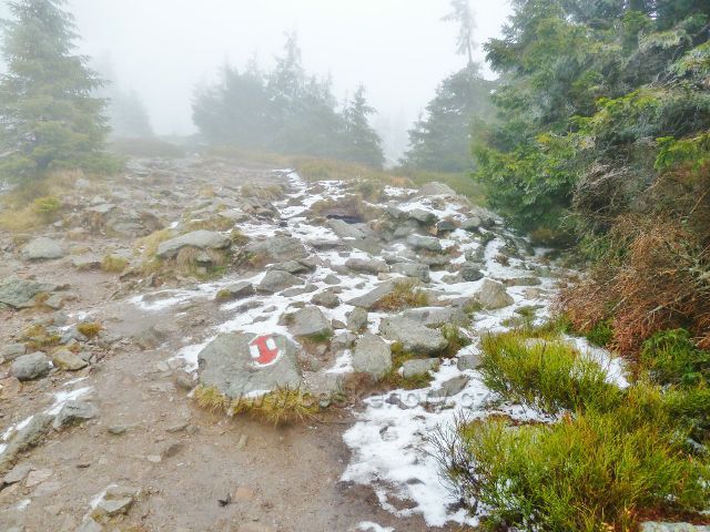 Po červené TZ na vrchol Králického Sněžníku