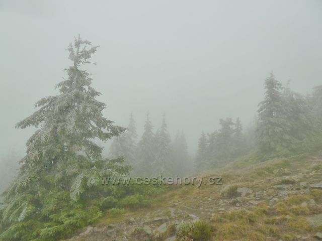 Králický Sněžník - mlha pod vrcholem