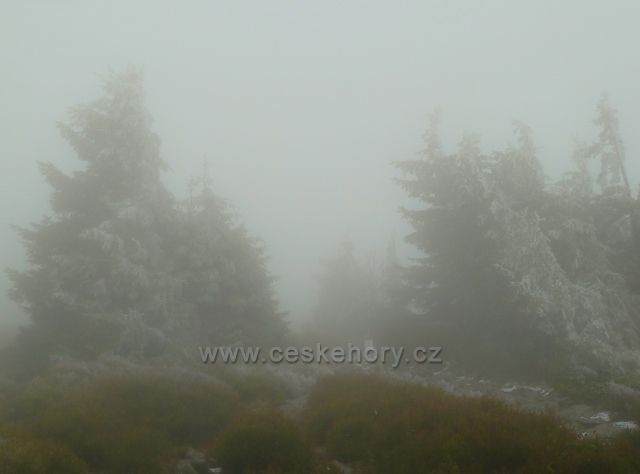 Králický Sněžník - mlha pod vrcholem