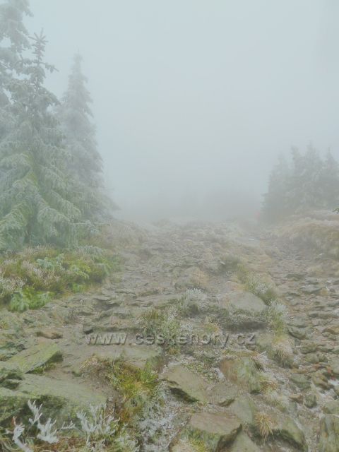 Králický Sněžník - všudypřítomná mlha pod vrcholem na cestě z polské strany
