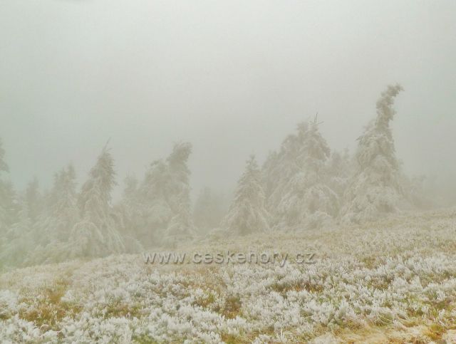 Mlha pod vrcholem Králického Sněžníku