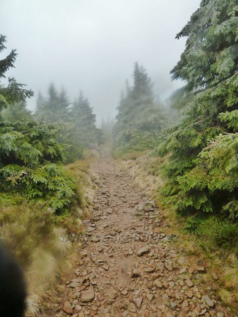 Králický Sněžník - sestupová cesta po červené a žluté TZ k chatě HS Franciska