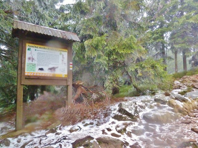 Králický Sněžník - tabule 11.zastavení NS Králický Sněžník nad chatou  HS Franciska