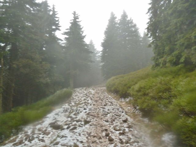 Králický Sněžník - kamenitá cesta po červené a žluté TZ k rozcestí u chaty HS Franciska