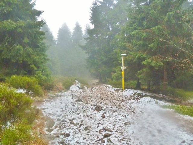 Králický Sněžník - rozcestí turistických tras tras po žluté a červené TZ u chaty HS Franciska
