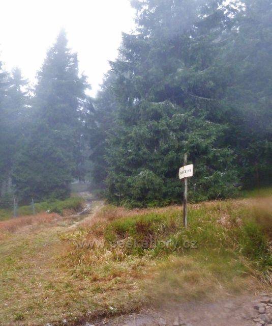 Králický Sněžník -odbočka z chatě HS Franciska z trasy po červené TZ