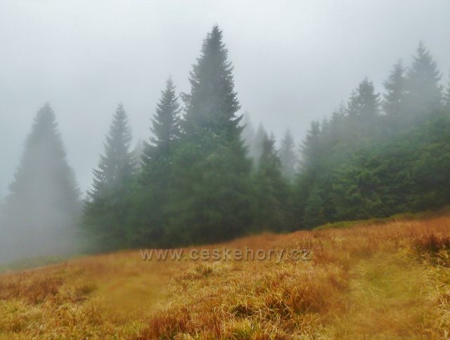 Králický Sněžník - kolem cesty po červené TZ z rozcestí Franciska do Stříbrnického sedla se stále převaluje mlha