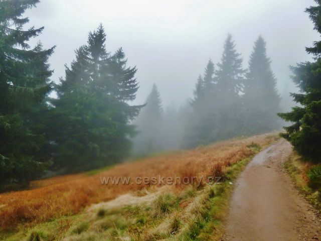 Králický Sněžník - cesta po červené TZ od rozcestí Franciska do Stříbrnického sedla