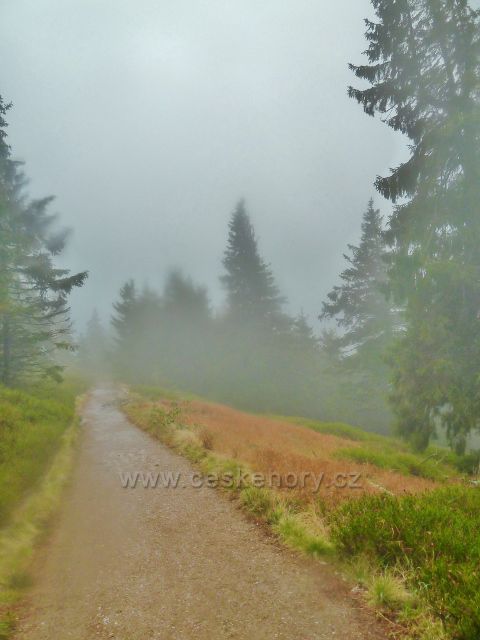 Králický Sněžník - cesta po červené TZ od rozcestí Franciska do Stříbrnického sedla