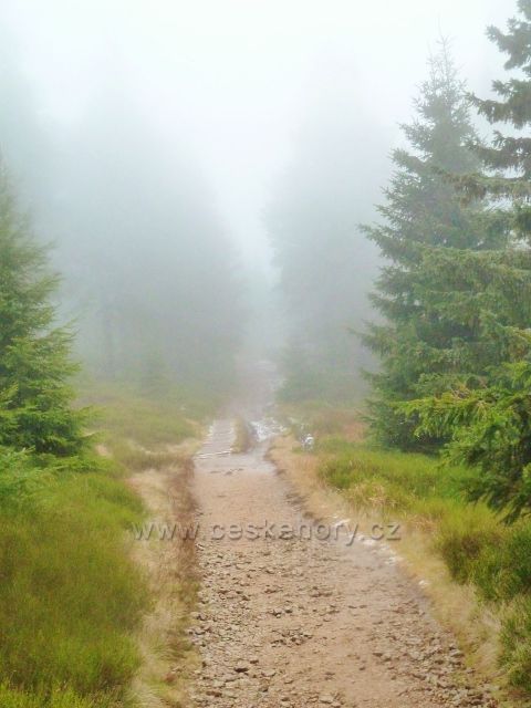 Králický Sněžník - cestu z rozcestí Franciska do Stříbrnického sedla stále provází mlha