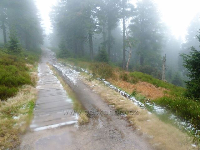 Králický Sněžník - podmáčený úsek cesty do Stříbrnického sedla je opatřen dřevěným chodníkem