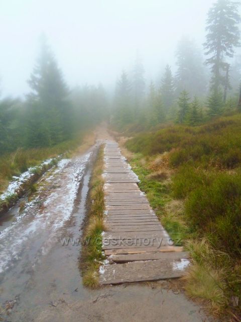 Králický Sněžník - zpětný pohled na dřevěný chodník na trase po červené TZ z rozcestí Franciska do Stříbrnického sedla