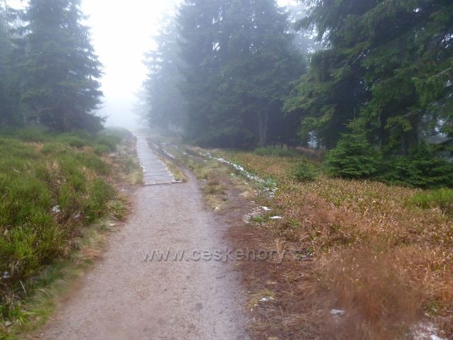 Králický Sněžník - další úsek cesty po červené TZ je před Stříbrnickým sedlem opatřen dřevěným chodníkem