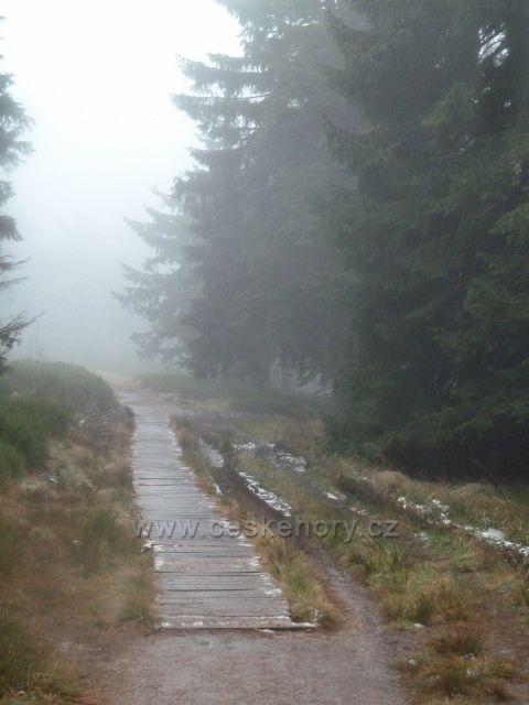 Králický Sněžník - zpětný pohled na dřevěný chodník  před Stříbrnickým sedlem na cestě po červené TZ