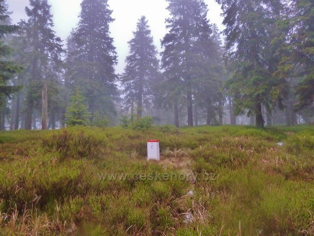 Králický Sněžník - trasa po červené TZ před Stříbrnickým sedlem opět sleduje státní hranici s Polskem
