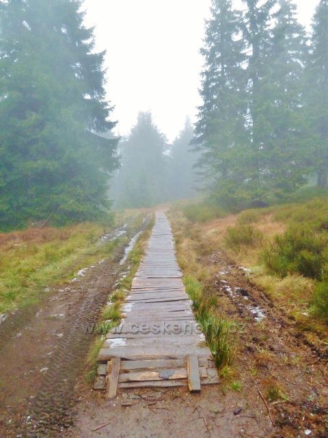 Králický Sněžník - poslední(třetí) dřevěný chodník na trase z rozcestí Franciska do Stříbrnického sedla