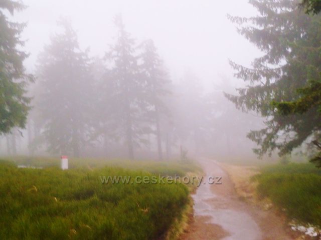 Králický Sněžník - cesta po červené TZ vede ož do Stříbrnického sedla podél státní hranice s Polskem a je provázena podzimní mlhou