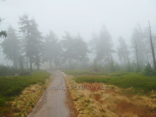 Králický Sněžník - sedlo Stříbrnická je ponořeno v mlze