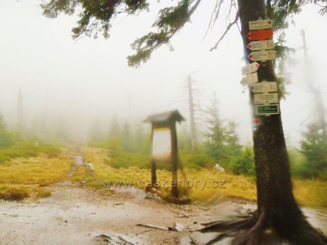 Králický Sněžník - rozcestí turistických tras po červené a po modré TZ v sedle Stříbrnická
