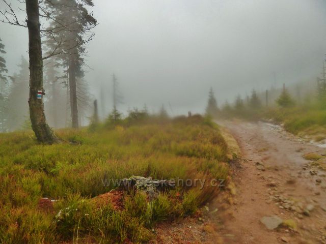 Králický Sněžník - cesta po červené a modré TZ k rozcestí Pod Ludmilou