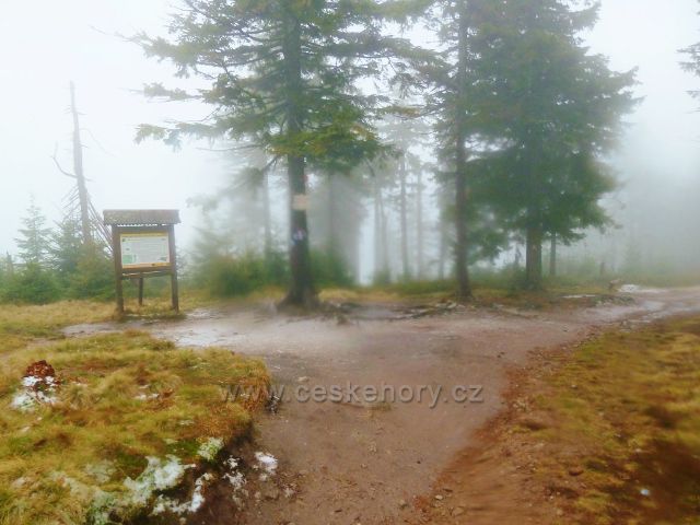 Králický Sněžník - rozcestí v sedle Stříbrnická v područí mlhy
