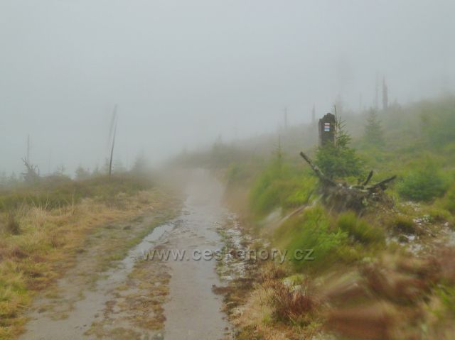 Králický Sněžník - cesta ze sedla Stříbrnická k rozcestí Pod Ludmilou