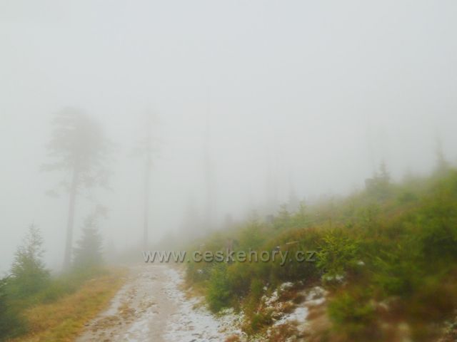 Králický Sněžník - cesta ze sedla Stříbrnická k rozcestí Pod Ludmilou