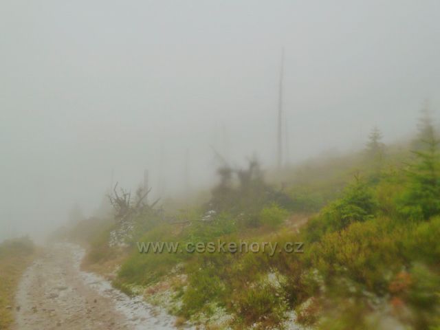 Králický Sněžník - cesta ze sedla Stříbrnická k rozcestí Pod Ludmilou