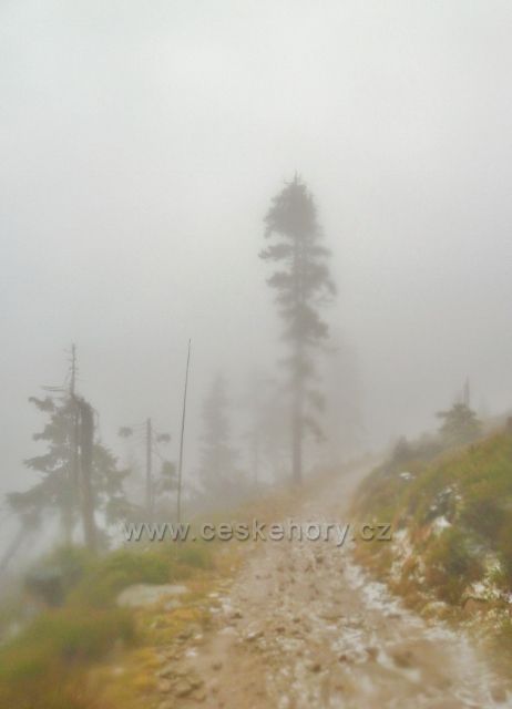 Králický Sněžník - cesta po úbočí vrchu Stříbrnická k rozcestí Pod Ludmilou