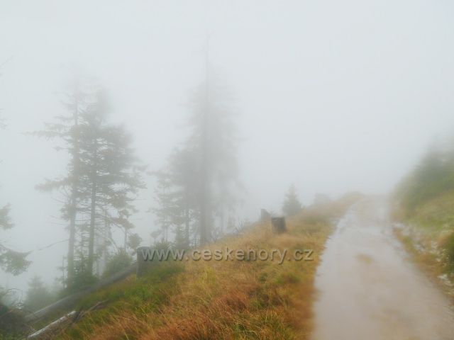 Králický Sněžník - podvečerní cesta mlhou po úbočí vrchu Stříbrnická k rozcestí Pod Ludmilou