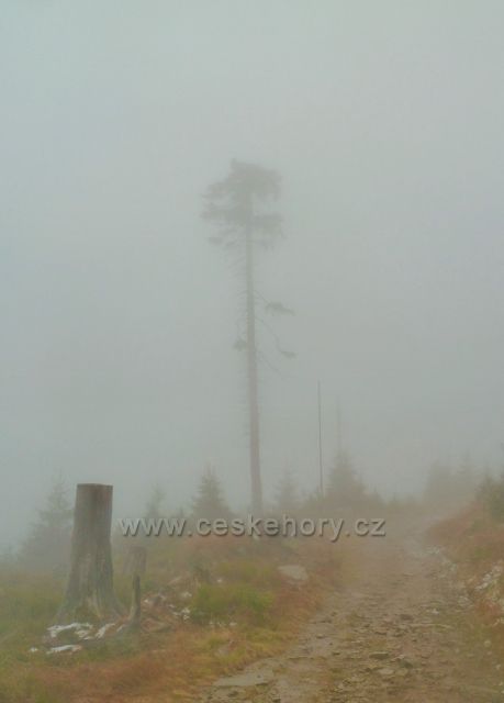 Králický Sněžník - cesta mlhou k rozcestí Pod Ludmilou