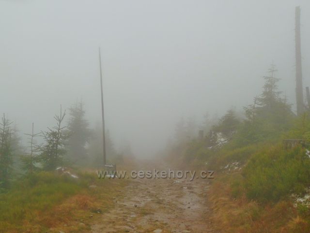 Králický Sněžník - cesta podvečerní mlhou k rozcestí Pod Ludmilou