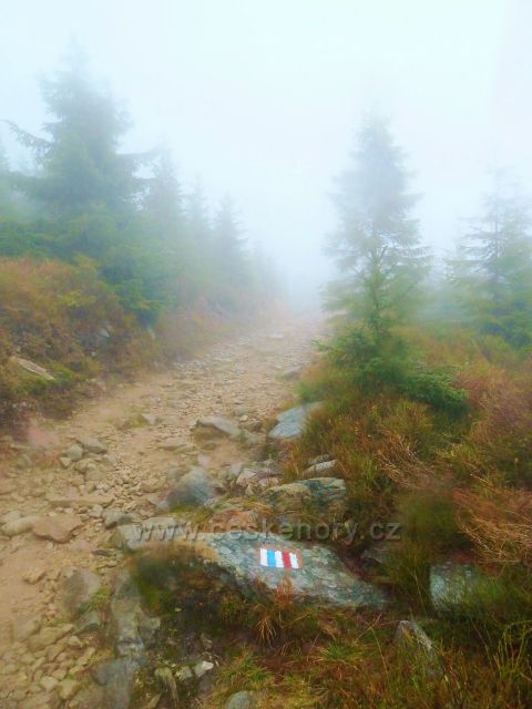 Králický Sněžník - cesta po červené a modré TZ od sedla Stříbrnická k rozcestí Pod Ludmilou