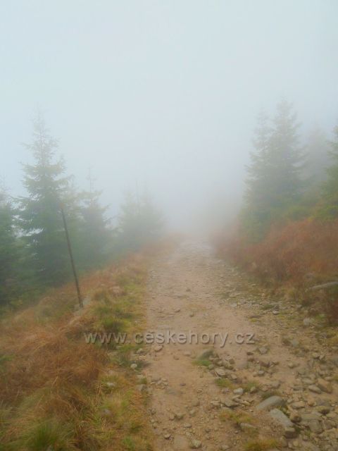 Králický Sněžník - cesta k rozcestí Pod Ludmilou se ztrácí v mlze