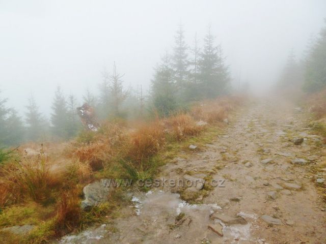 Králický Sněžník - podzimní cesta k rozcestí Pod Ludmilo