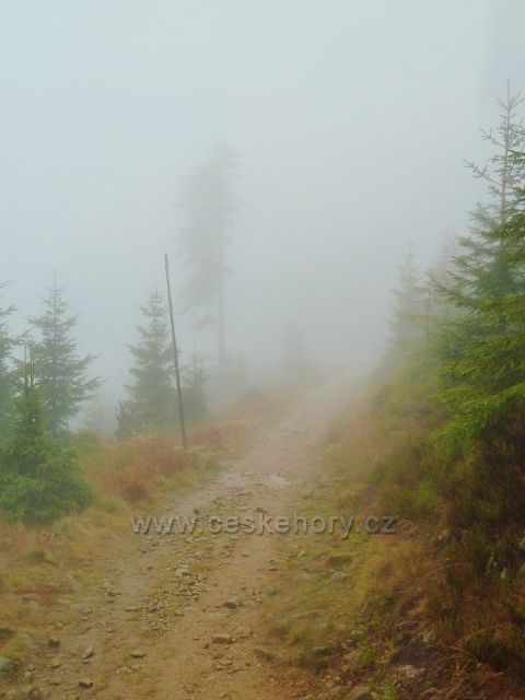 Králický Sněžník - nad rozcestím Pod Ludmilou se vznáší mlha