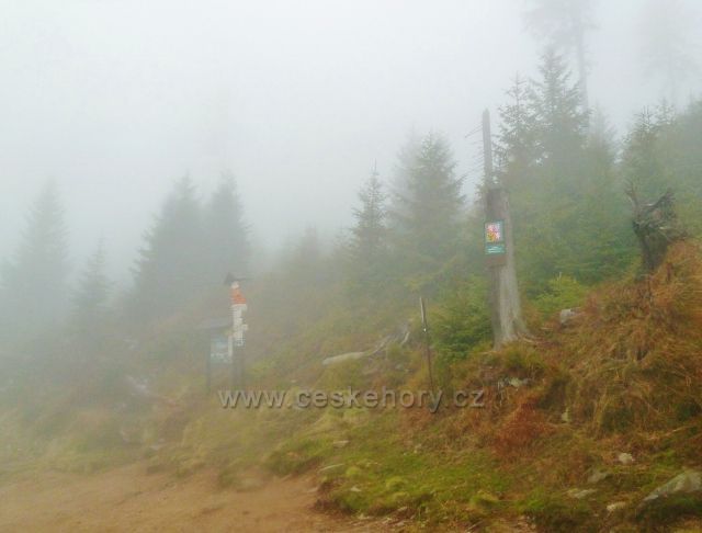 Králický Sněžník - Rozcestí Pod Ludmilou