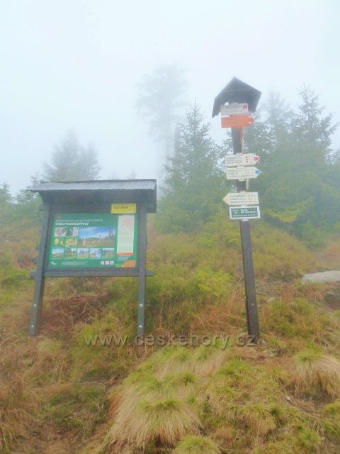 Králický Sněžník - turistický rozcestník "Pod Ludmilou, 1160 m.n.m., 500 m po žluté ZN. lovecká chata Ludmila na vých. svahu  Mokrého hřbetu"