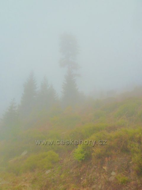 Králický Sněžník - na svahu nad rozcestím Pod Ludmilou se převaluje mlha