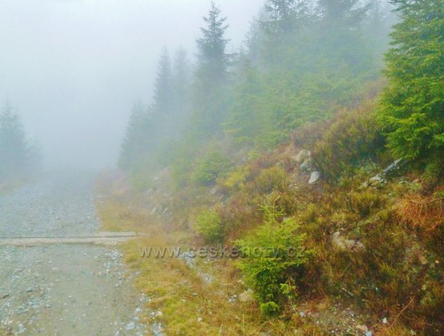 Králický Sněžník - silnička k chatě Návrší