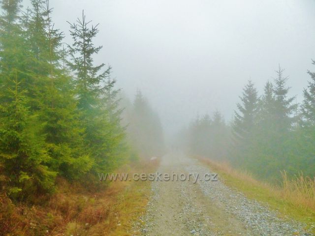 Králický Sněžník - silnička k horské chatě Návrší