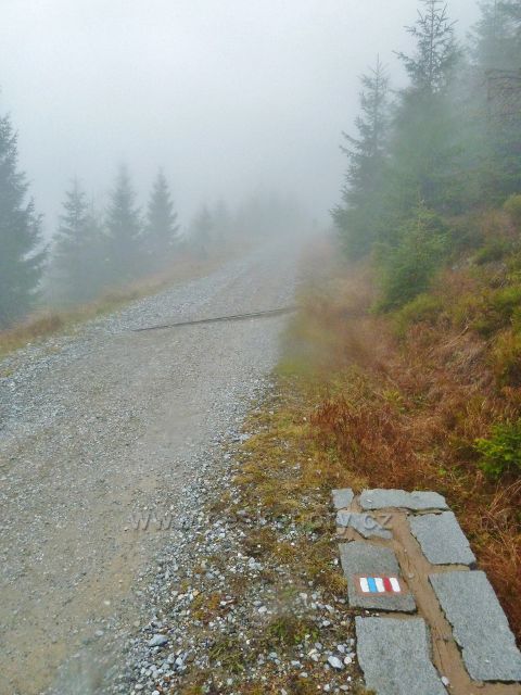 Králický Sněžník - po silničce  k horské chatě Návrší vede červená a modrá TZ