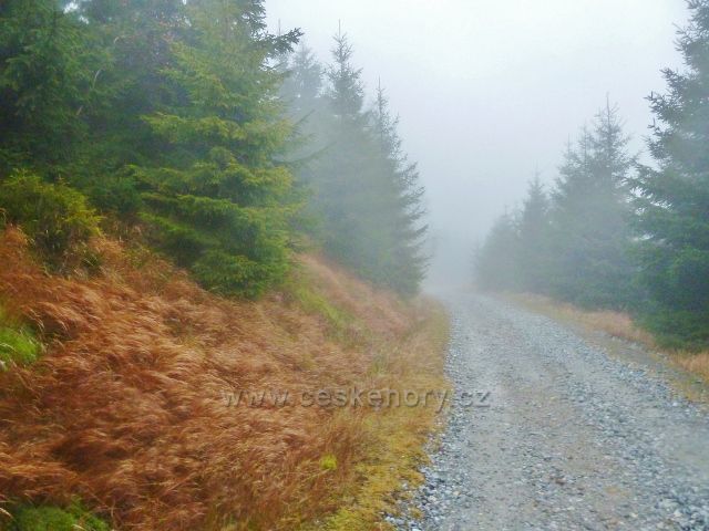 Králický Sněžník - silnička k horské chatě Návrší