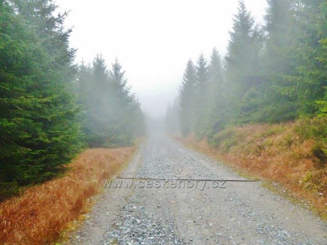 Králický Sněžník - silnička k horské chatě Návrší