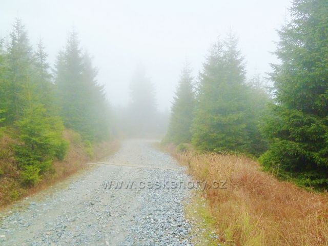 Králický Sněžník - zatáčka, v níž se silnička k chatě Návrší opět přibližuje ke státní hranici s Polskem