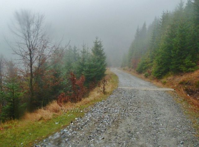 Králický Sněžník - silnička k chatě Návrší nad rozcestím "Nad Anděliným pramenem"