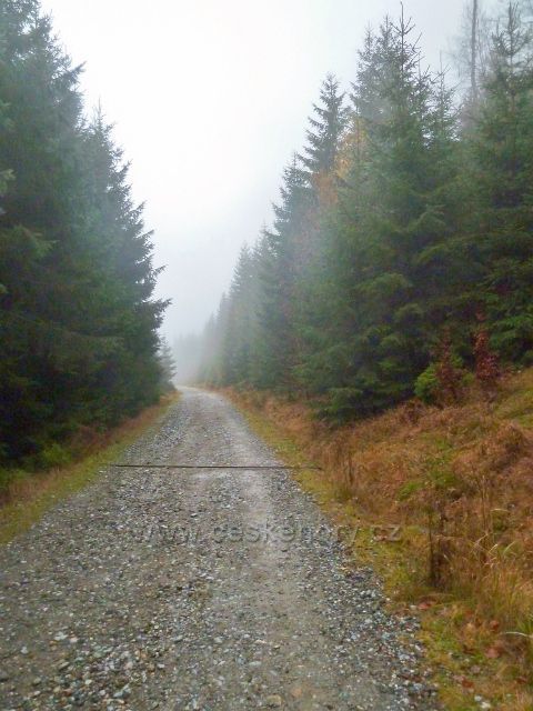 Králický Sněžník - silnička k horské chatě Návrší