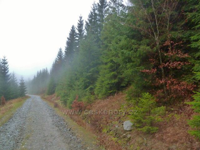 Králický Sněžník - silnička k horské chatě Návrší