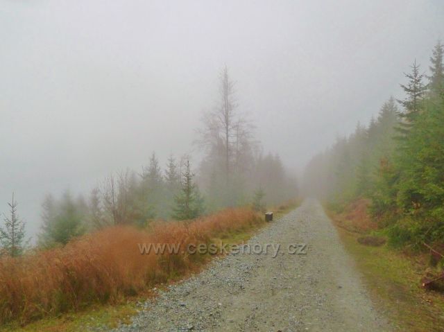Králický Sněžník - osamělá lavička u silničky k chatě Návrší